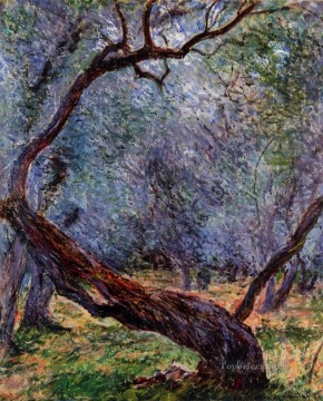 Claude Monet Painting - Study of Olive Trees Claude Monet